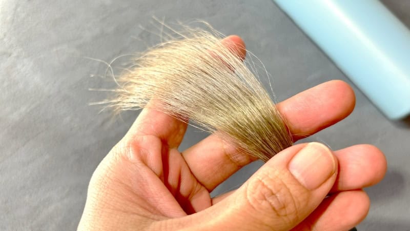 ラサーナプレミオールシャンプーを使用後の毛束画像
