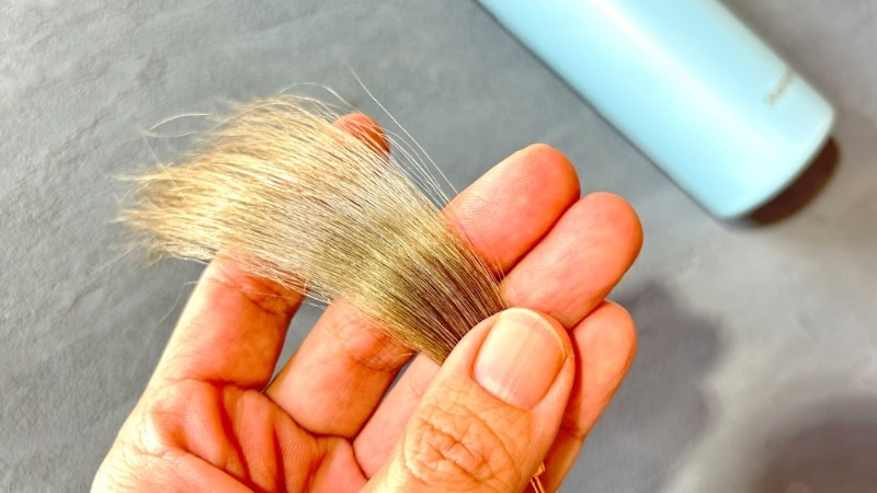 ラサーナプレミオールシャンプーを使用後の毛束画像