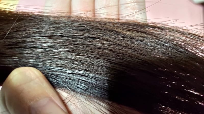 ノアルフレシャンプーを使用後の髪